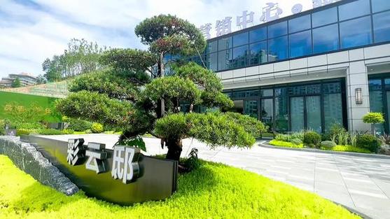 绿城云上兰庭项目产品:75㎡,95㎡,115㎡,119㎡,139㎡# 好房推荐 # 抖